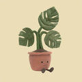 Amuseables Monstera Plant