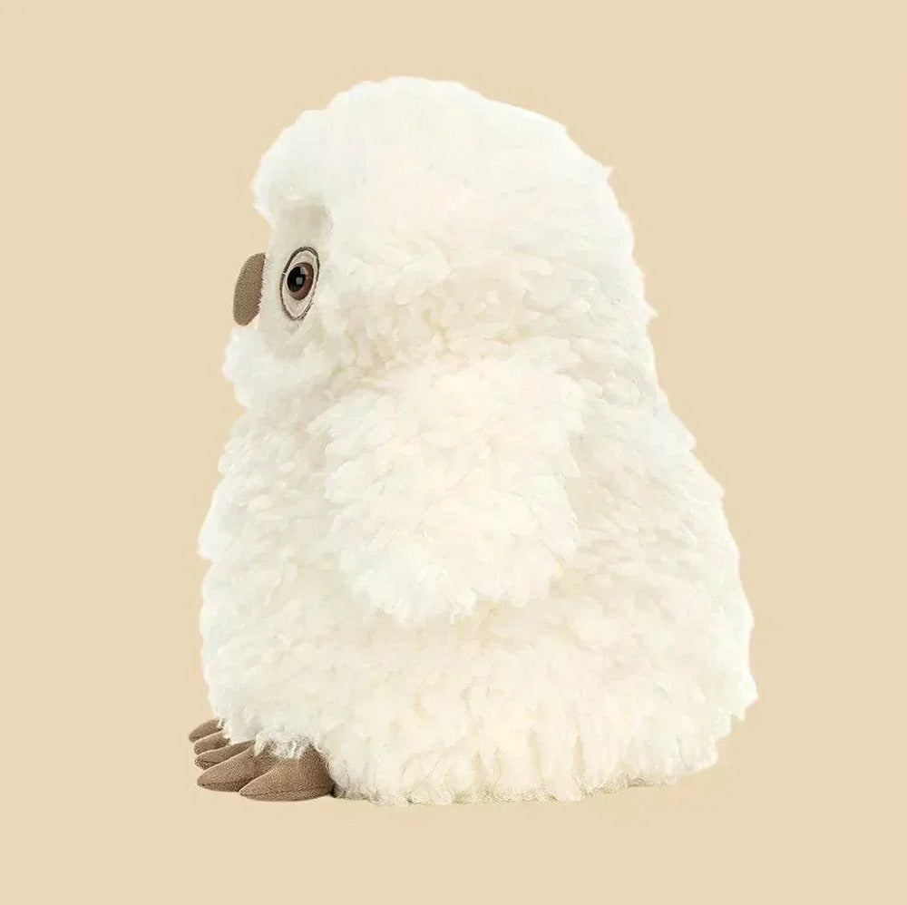 Apollo Owl