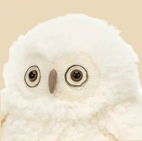 Apollo Owl