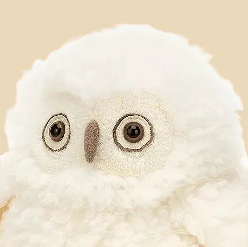Apollo Owl