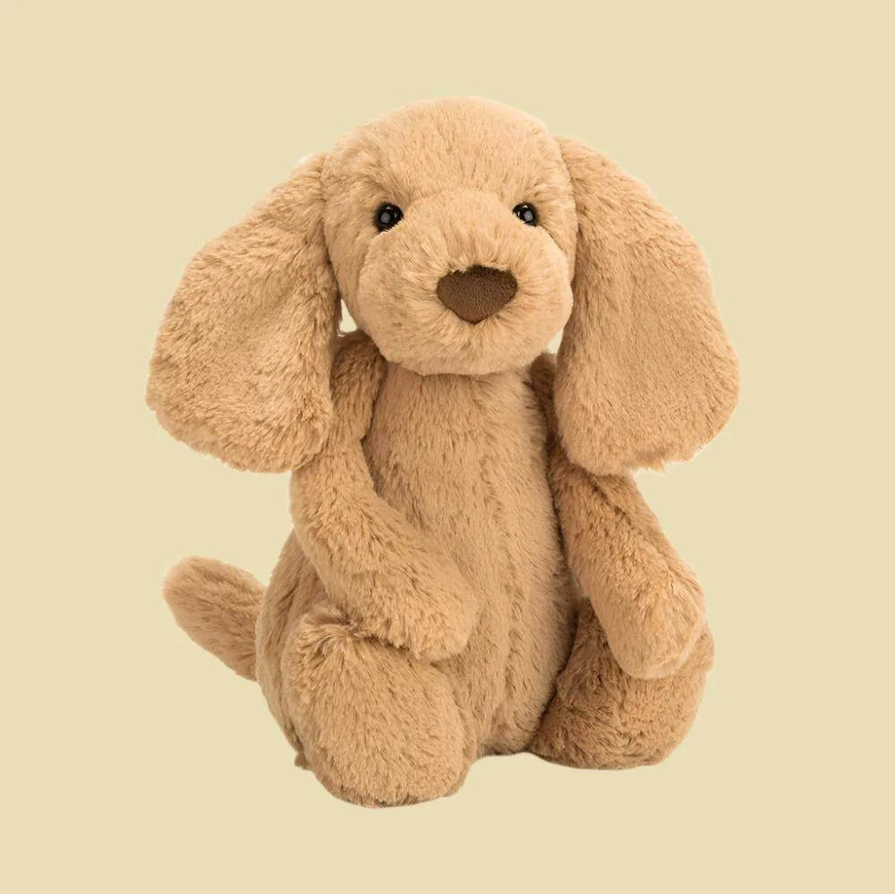 Bashful Toffee Puppy