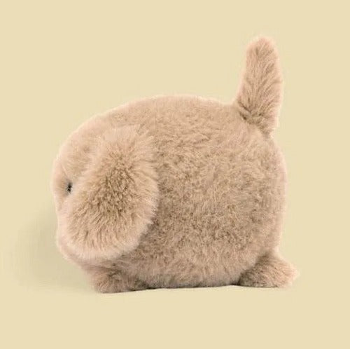 Caboodle Puppy