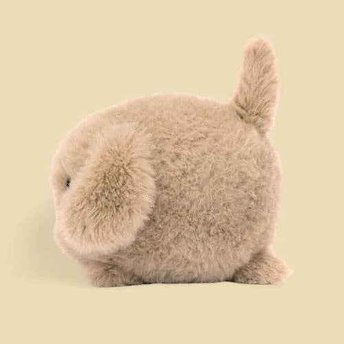Caboodle Puppy