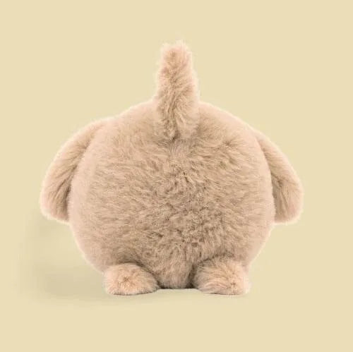 Caboodle Puppy