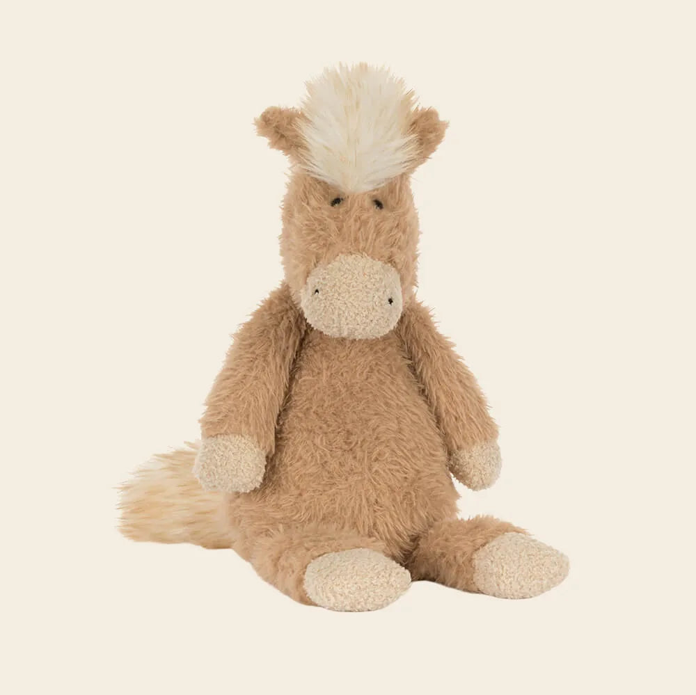 Canterneigh Pony