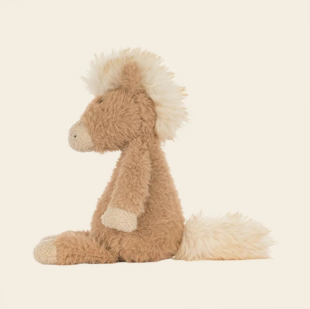 Canterneigh Pony