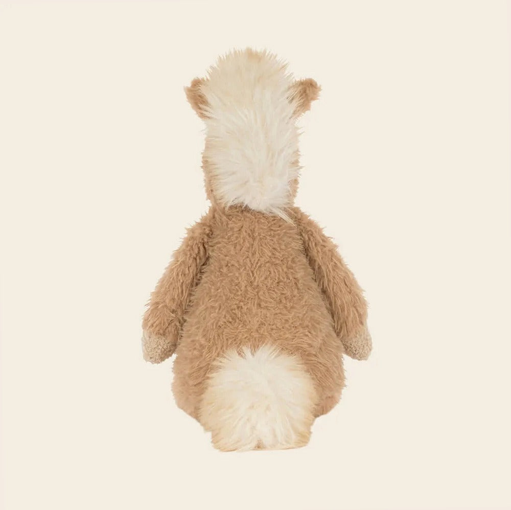 Canterneigh Pony