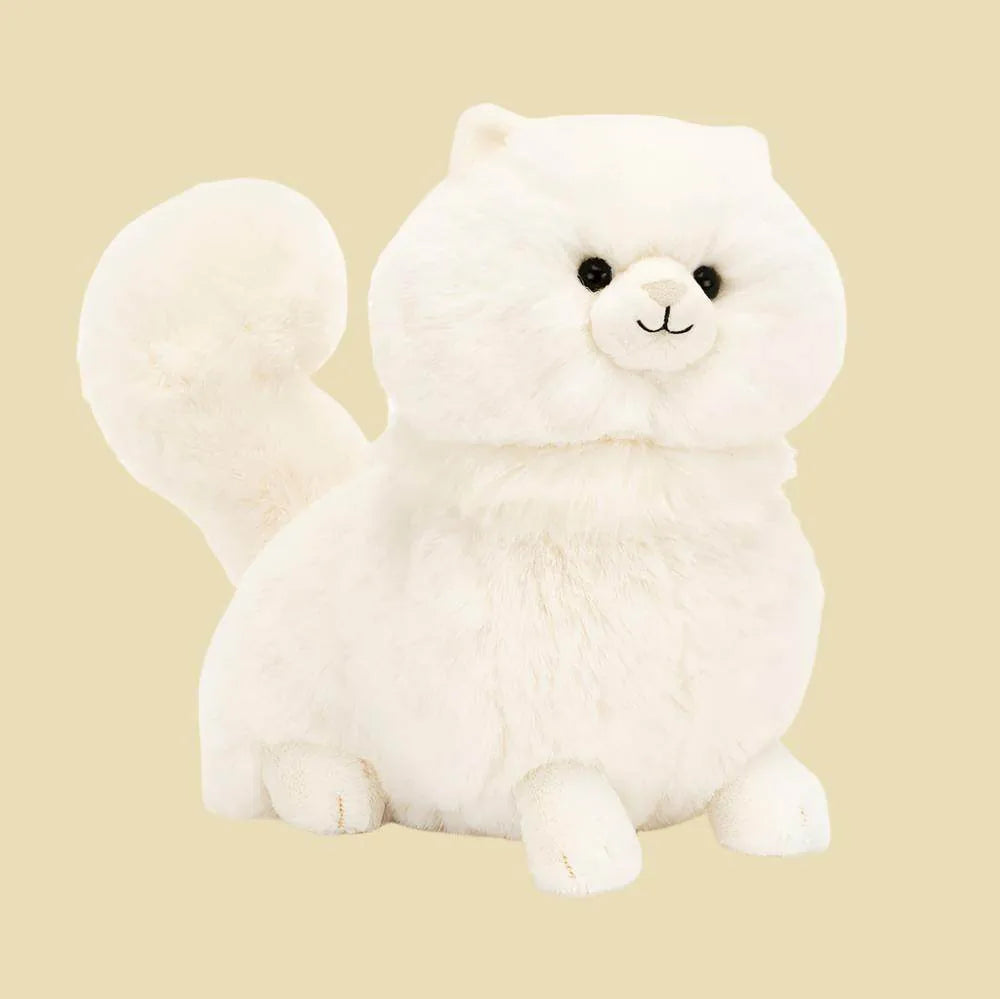 Carissa Persian Cat