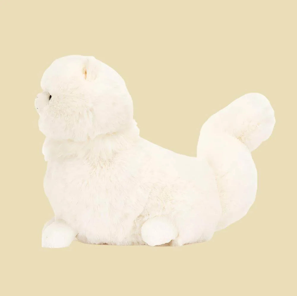 Carissa Persian Cat