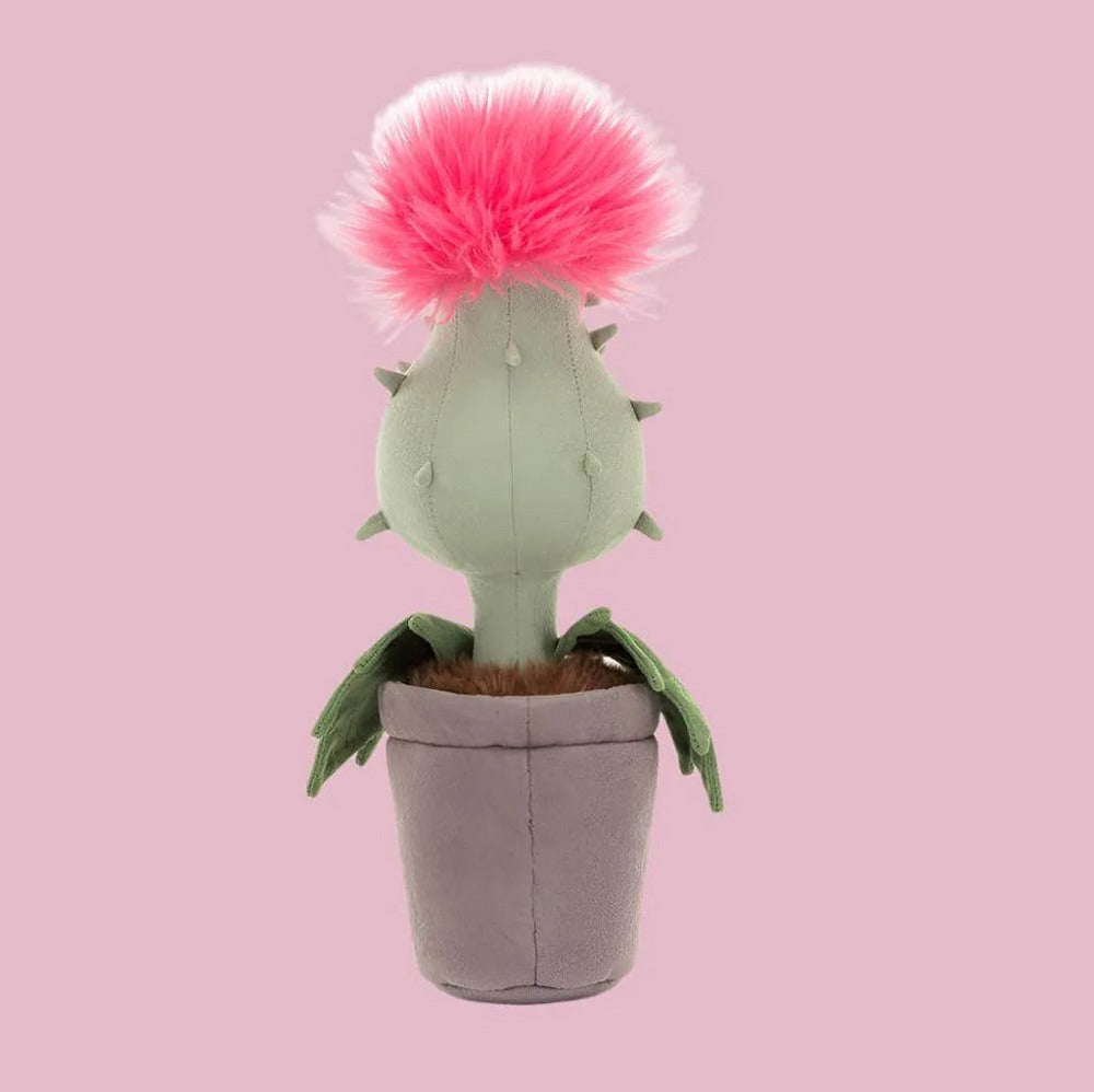 Carniflore Priscilla