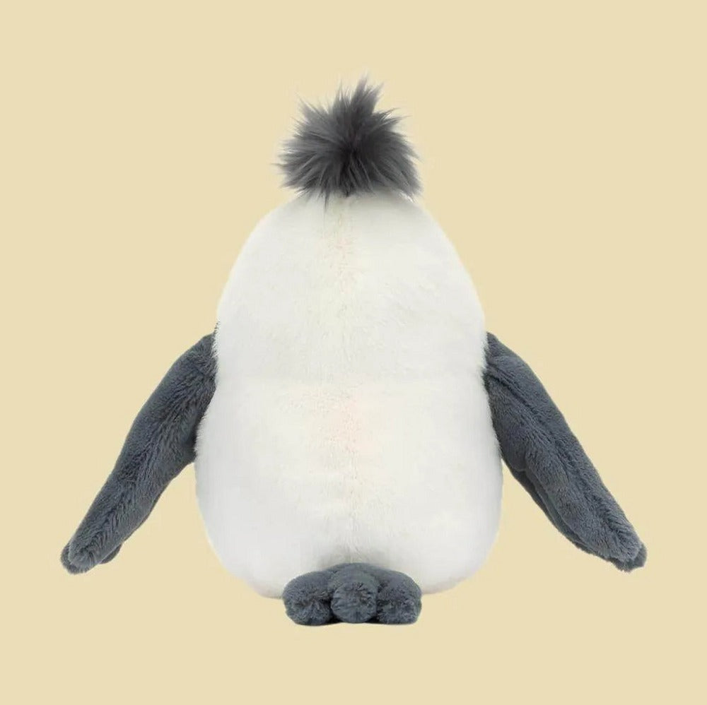Chip Seagull