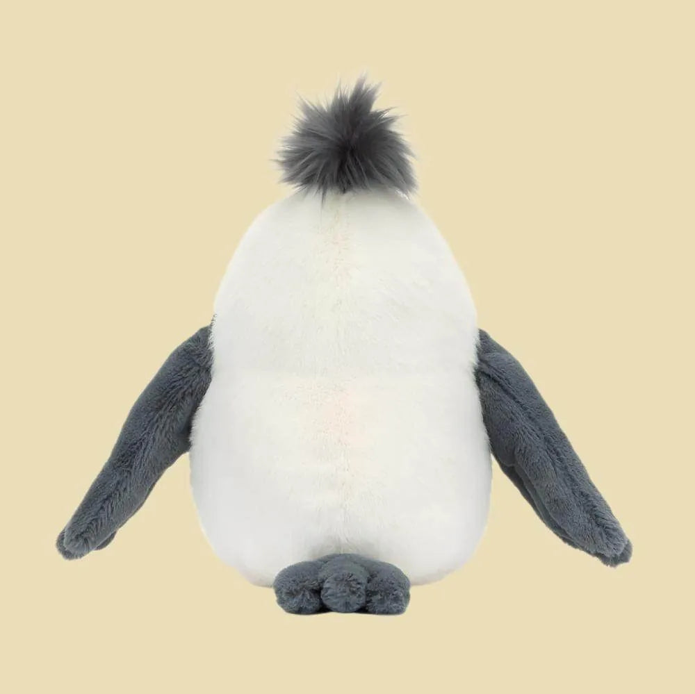 Chip Seagull