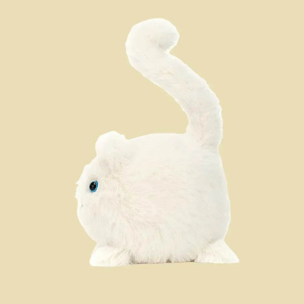 Kitten Caboodle - Cream