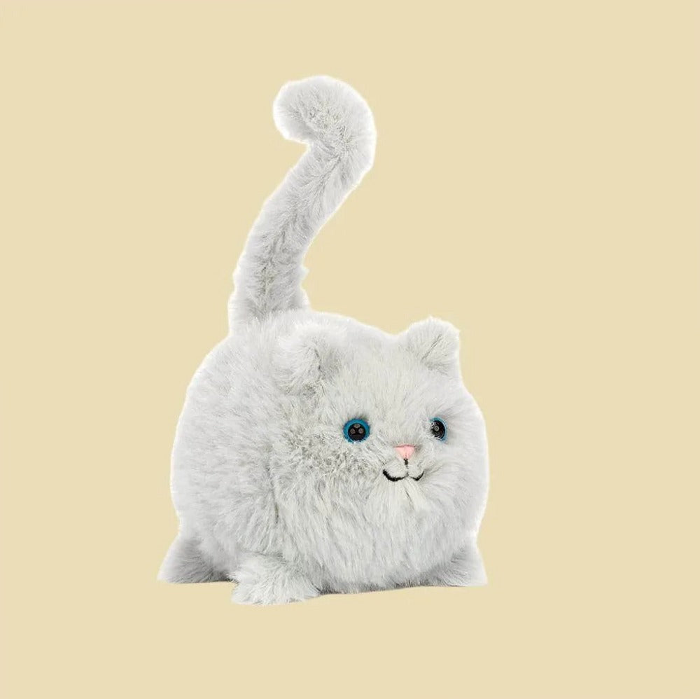 Kitten Caboodle