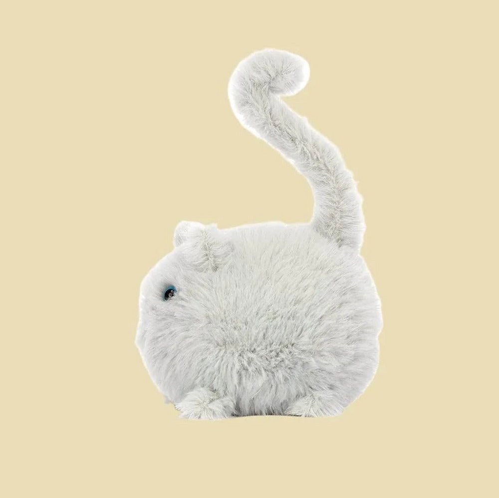 Kitten Caboodle