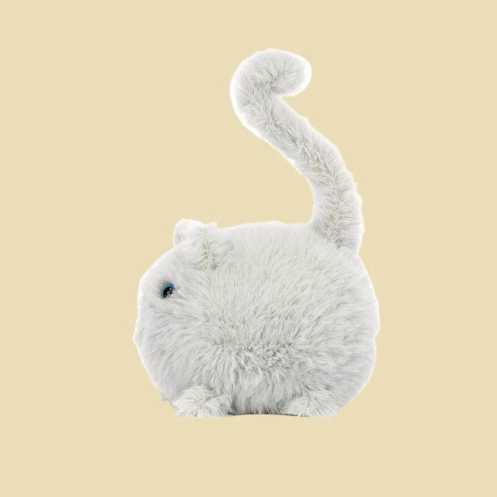 Kitten Caboodle