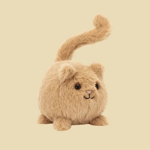 Kitten Caboodle Ginger