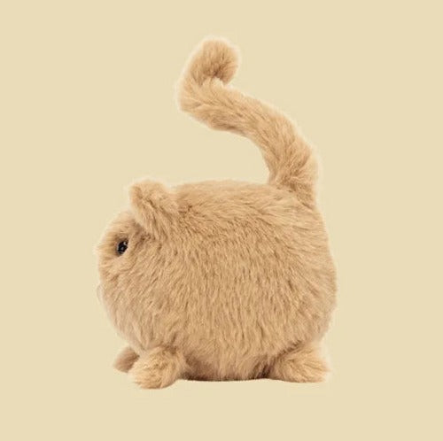 Kitten Caboodle Ginger