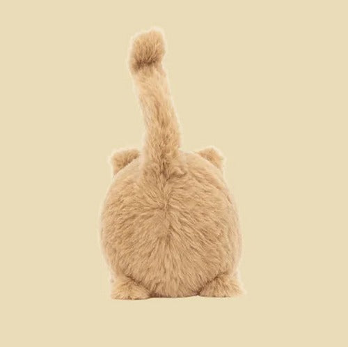 Kitten Caboodle Ginger