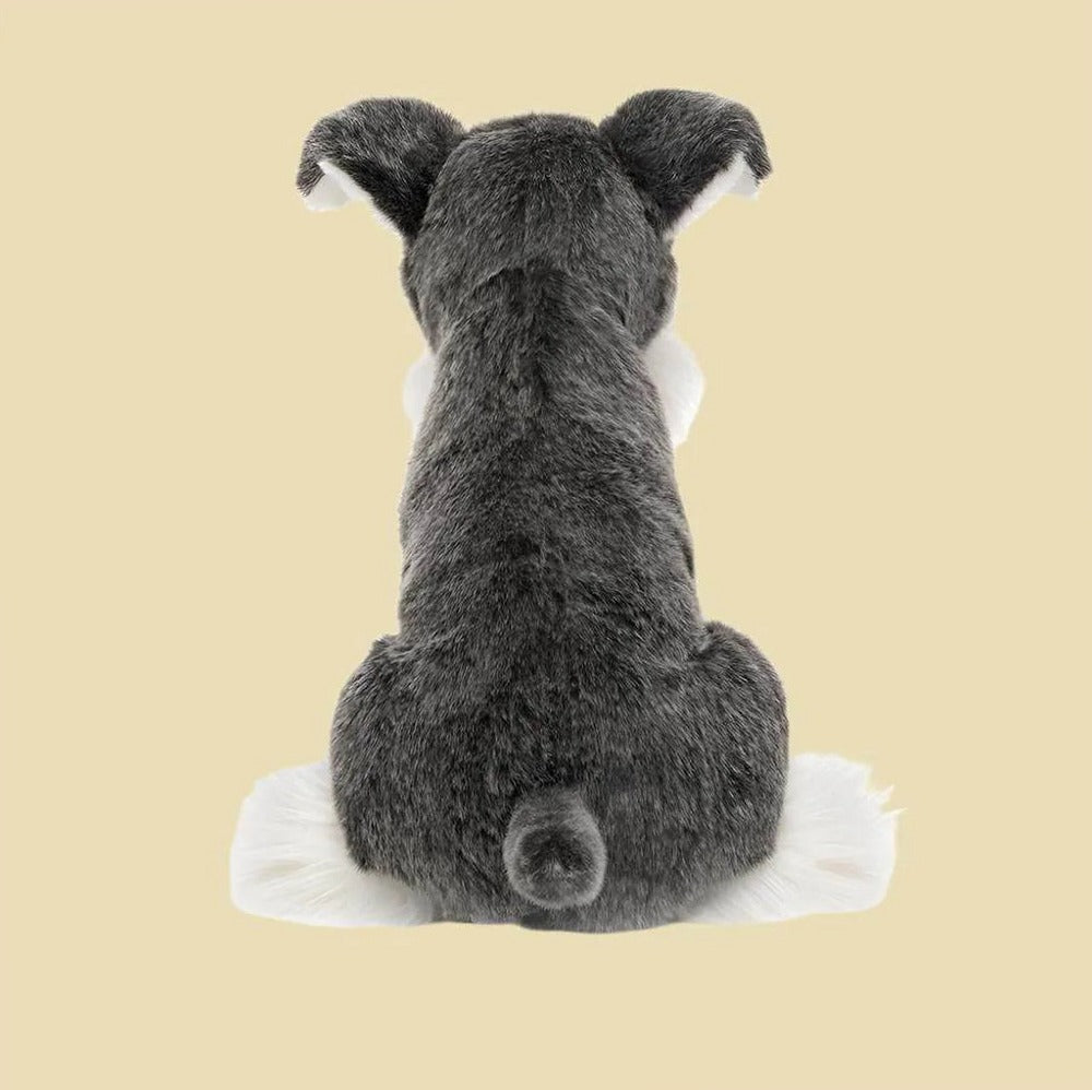 Lawrence Schnauzer