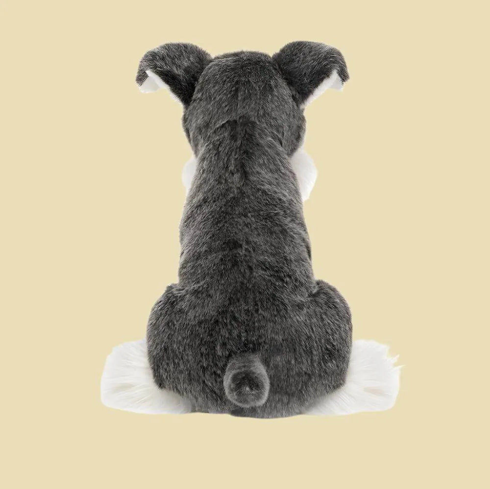 Lawrence Schnauzer