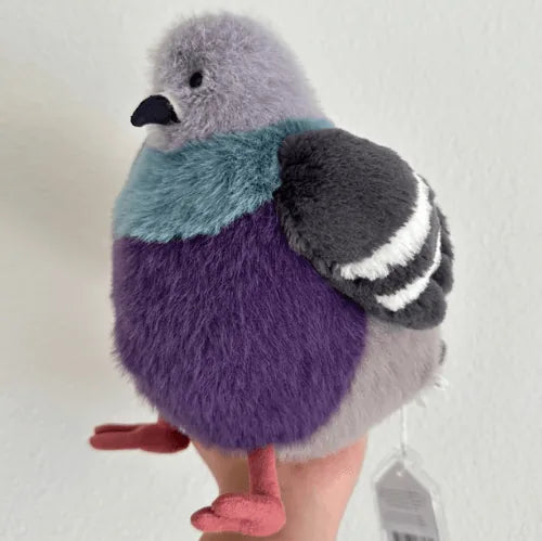 Leicester Pigeon