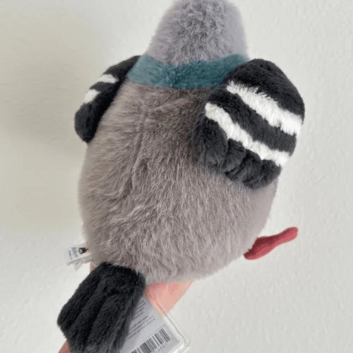 Leicester Pigeon