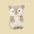 Little Owl