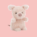 Little Pig