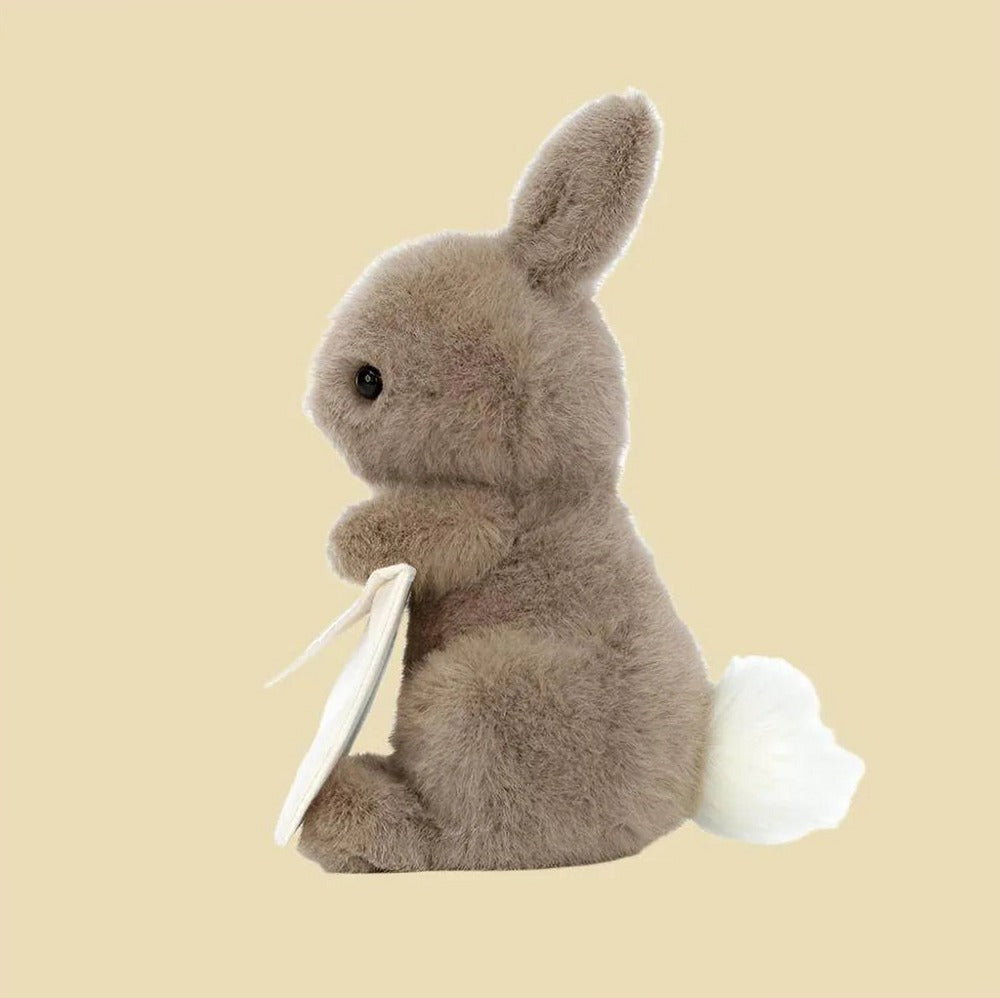 Messenger Bunny