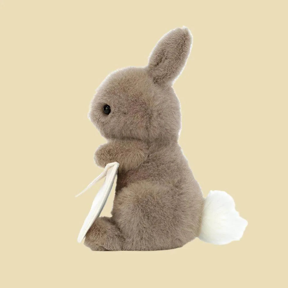 Messenger Bunny