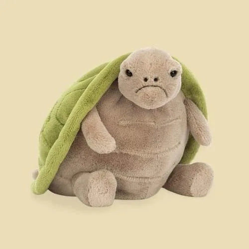 Timmy Turtle