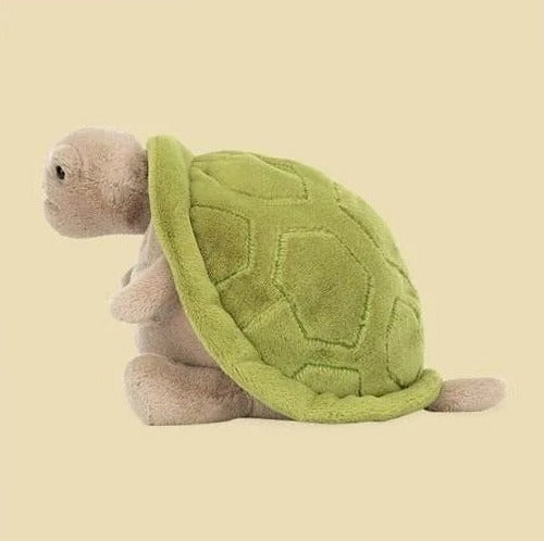 Timmy Turtle