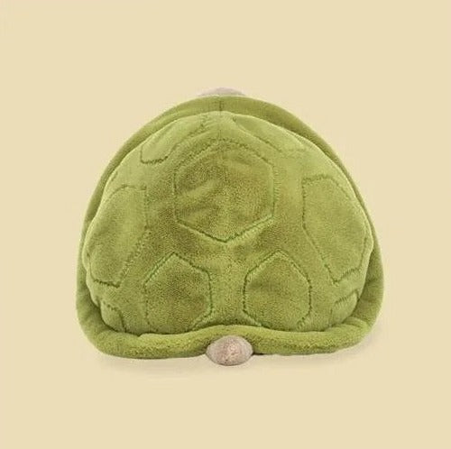 Timmy Turtle