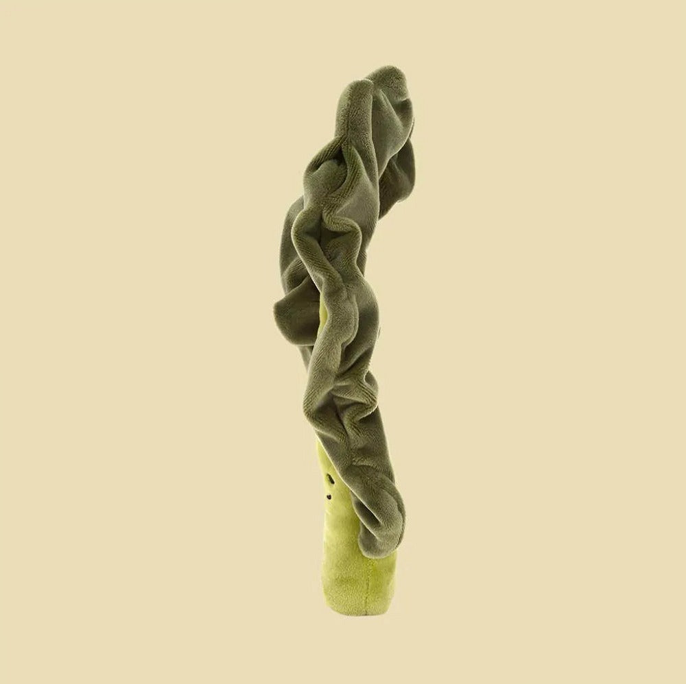 Vivacious Vegetable Kale Leaf