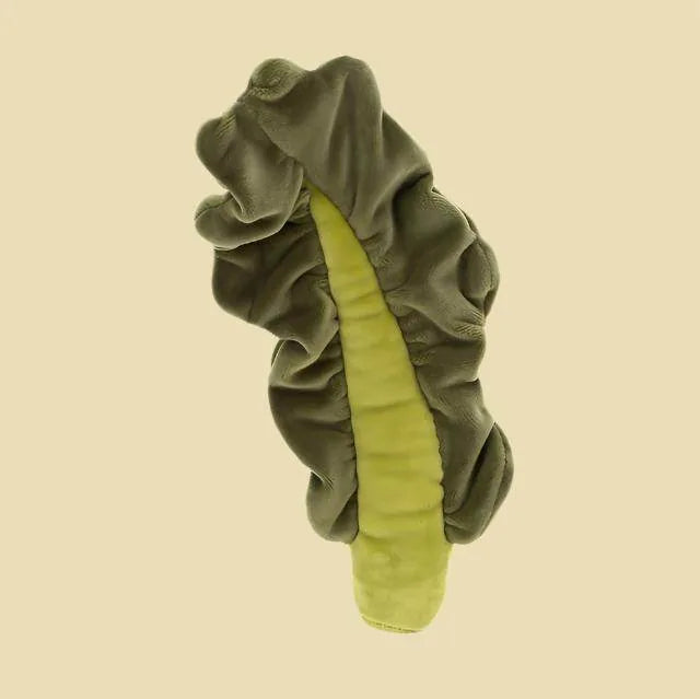 Vivacious Vegetable Kale Leaf
